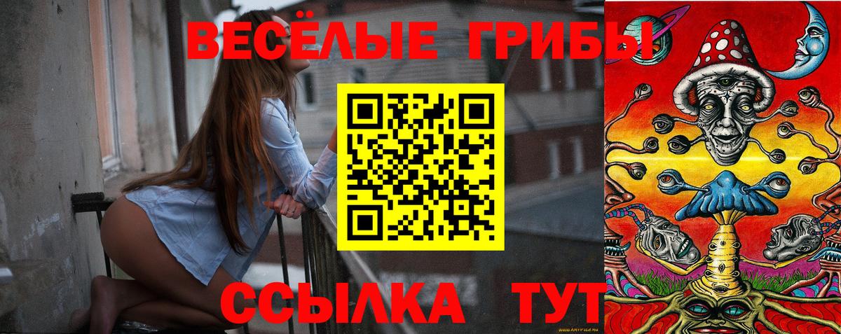 Псилоцибиновые грибы GOLDEN TEACHER  Галлюциногенные грибы Cubensis  Бугуруслан  Вход с VPN 