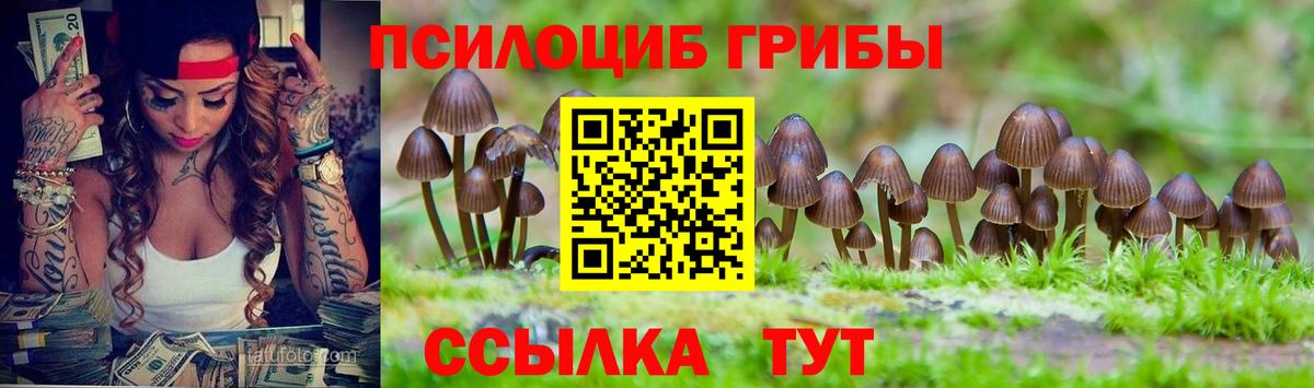 Псилоцибиновые грибы Psilocybine cubensis Бугуруслан